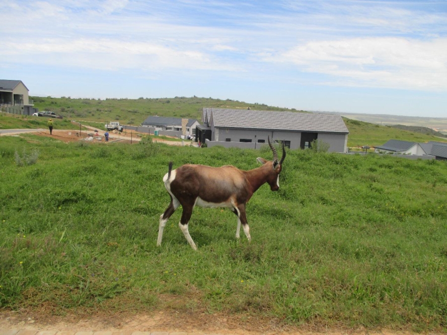 0 Bedroom Property for Sale in Outeniquasbosch Western Cape